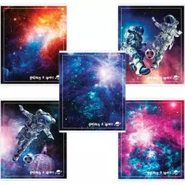 Тетрадь BRAUBERG