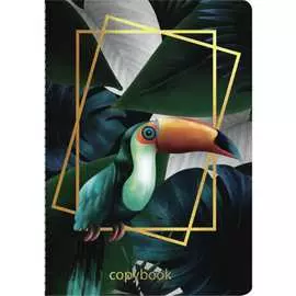 Тетрадь BRAUBERG