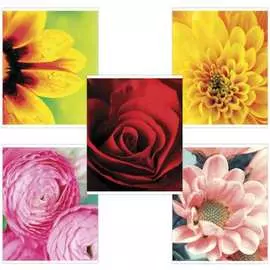 Тетрадь BRAUBERG