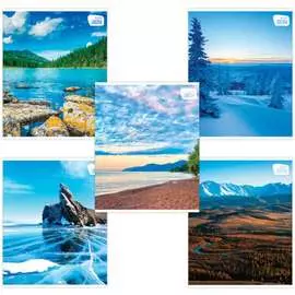 Тетрадь BRAUBERG