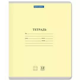 Тетрадь BRAUBERG