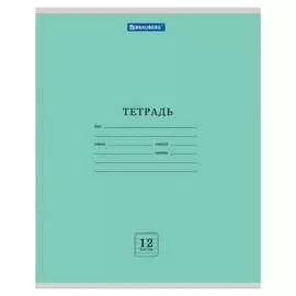 Тетрадь BRAUBERG