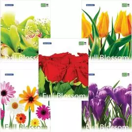 Тетрадь BRAUBERG