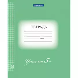 Тетрадь BRAUBERG