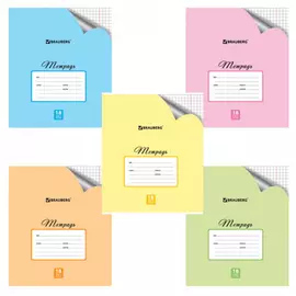 Тетрадь BRAUBERG