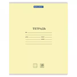 Тетрадь BRAUBERG