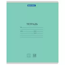 Тетрадь BRAUBERG