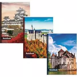 Тетрадь BRAUBERG