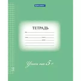 Тетрадь BRAUBERG