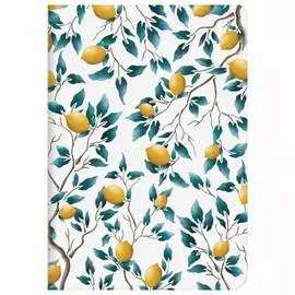 Тетрадь BRAUBERG