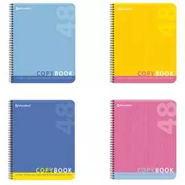 Тетрадь BRAUBERG