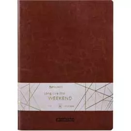 Тетрадь BRAUBERG VIVA 403893