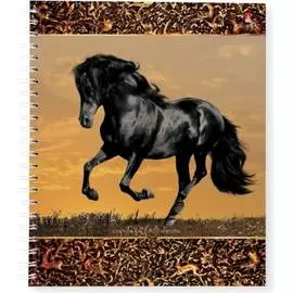 Тетрадь Bruno Visconti