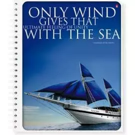 Тетрадь Bruno Visconti