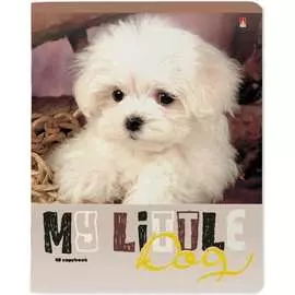 Тетрадь Bruno Visconti