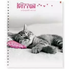 Тетрадь Bruno Visconti