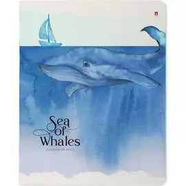 Тетрадь Bruno Visconti