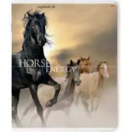 Тетрадь Bruno Visconti