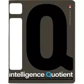 Тетрадь Bruno Visconti