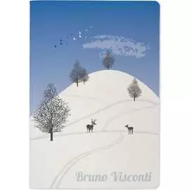 Тетрадь Bruno Visconti