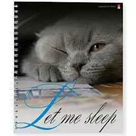 Тетрадь Bruno Visconti