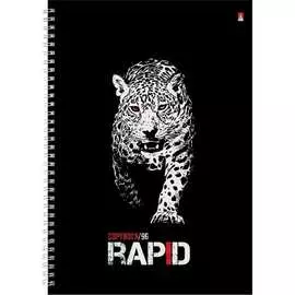 Тетрадь Bruno Visconti