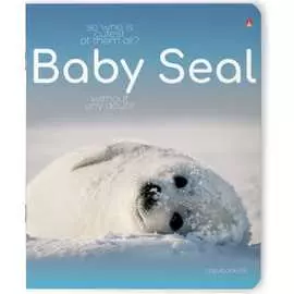 Тетрадь Bruno Visconti