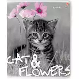 Тетрадь Bruno Visconti