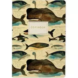 Тетрадь Bruno Visconti