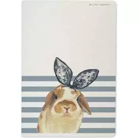 Тетрадь Bruno Visconti