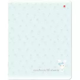 Тетрадь Bruno Visconti