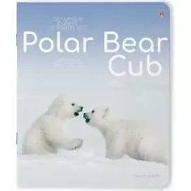 Тетрадь Bruno Visconti