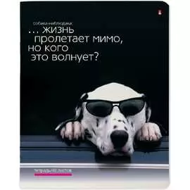 Тетрадь Bruno Visconti