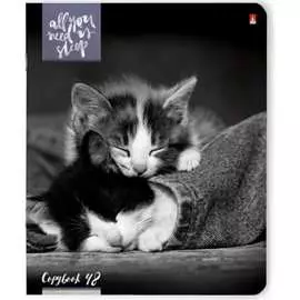 Тетрадь Bruno Visconti