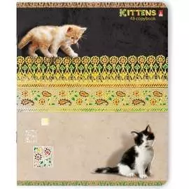 Тетрадь Bruno Visconti