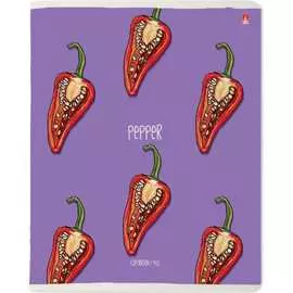 Тетрадь Bruno Visconti