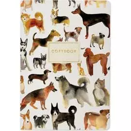 Тетрадь Bruno Visconti