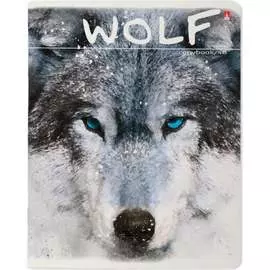 Тетрадь Bruno Visconti