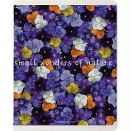 Тетрадь Bruno Visconti