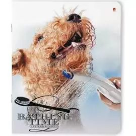 Тетрадь Bruno Visconti