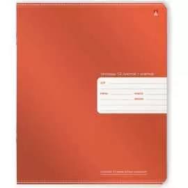 Тетрадь Bruno Visconti