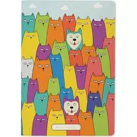 Тетрадь Bruno Visconti