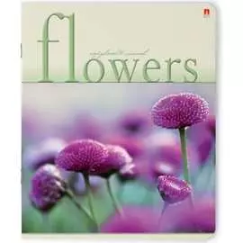 Тетрадь Bruno Visconti