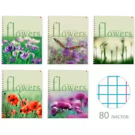 Тетрадь Bruno Visconti