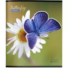 Тетрадь Creativiki