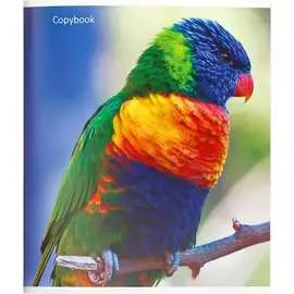 Тетрадь Creativiki