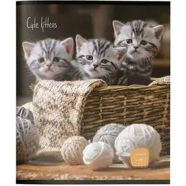 Тетрадь Creativiki