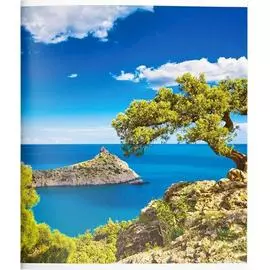 Тетрадь Creativiki