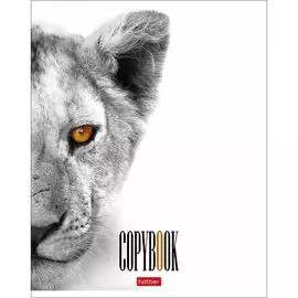 Тетрадь Hatber