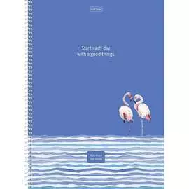 Тетрадь Hatber